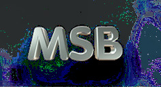 Msb