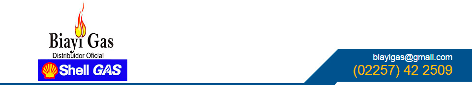 Biayi Gas SRL