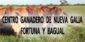Centro Ganadero de Nueva Galia - Fortuna y Bagual