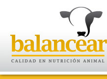 Balancear SA