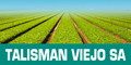 Talisman Viejo SA