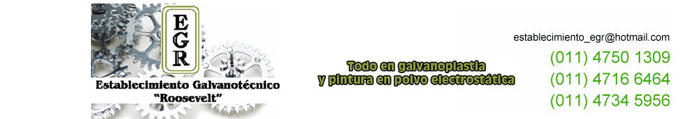 Establecimiento Galvanoplastico Roosevelt