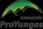 Fundacion Proyungas