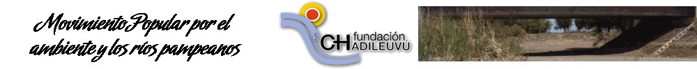 Fundacion Chadileuvu