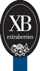Extraberries SA