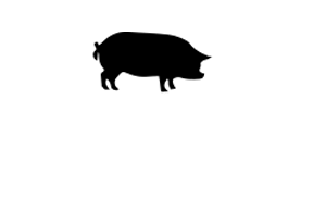 Frigorifico Santa Clara