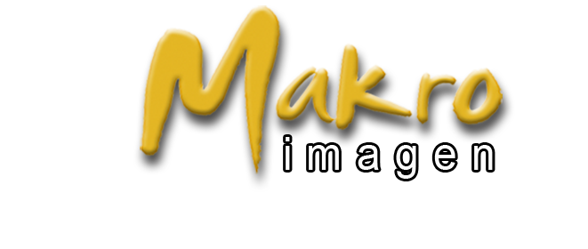 Foto - Makro Imagen - Servicios Digitales