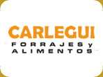 Carlegui