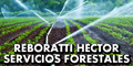 Reboratti Hector Servicios Forestales