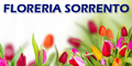 Floreria Sorrento