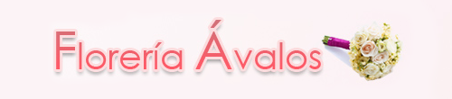 Floreria Avalos