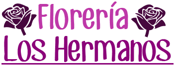 Floreria los Hermanos - Envios a Domicilio - Coronas y Palmas