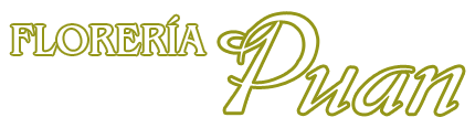 Floreria Puan
