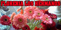 Abierto las 24 Hs - Floreria los Hermanos