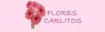 Flores Carlitos - Envios a Domicilio