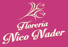 Floreria Arte Floral Nader