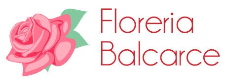 Floreria Balcarce - Envios