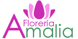 Floreria Amalia - Decoracion
