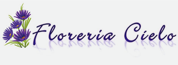 Floreria Cielo
