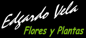 Edgardo Vela Flores y Plantas