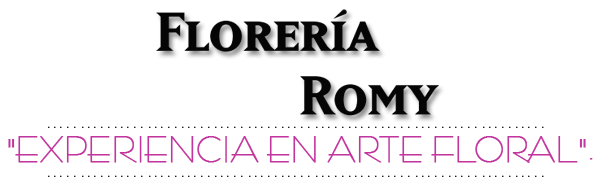 Florerias Romy