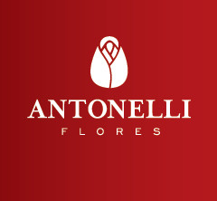Antonelli Flores