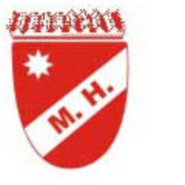 Metalurgica Miele Hnos SA