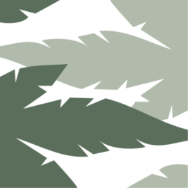 Centro Medico Palmares - Diagnostico Por Imagenes