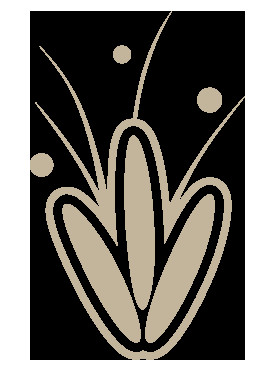 Rincon Natural - Almacen Naturista