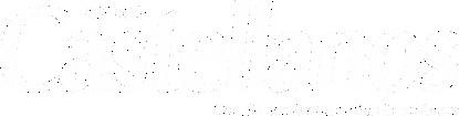 Diario Castellanos