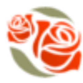 Departamentos Rosas Rojas