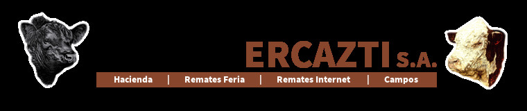 Consignataria Vittori Edgardo SA