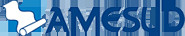 Textil Amesud S a