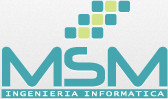 Msm Ingenieria Informatica