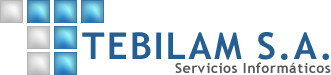 Tebilam SA - Diseño de Sistemas - Servicios Informaticos - D