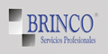Brinco - Servicios Profesionales