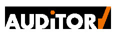 El Auditor SA