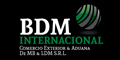 Bdm Internacional - Comercio Exterior