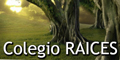 Colegio Raices