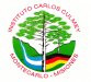 Instituto Carlos Culmey 112005
