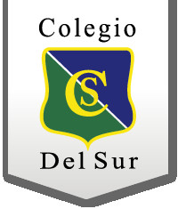 Asociacion Civil Colegio del Sur