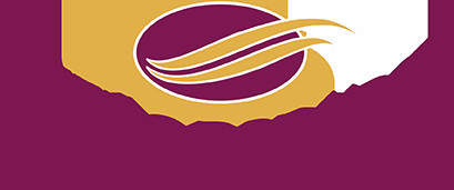 Sueño Dorado Colchones y Sommiers