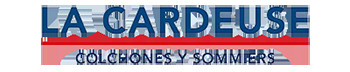 La Cardeuse SA
