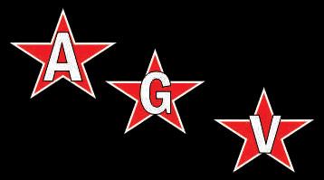 Agv Chapas y Servicios