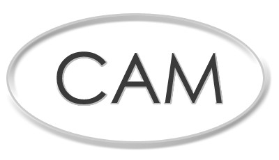 Cam