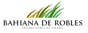 Bahiana de Roble