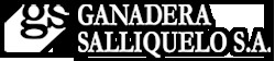 Ganadera Salliquelo SA