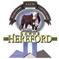 Carne Hereford