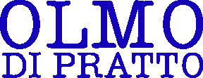 Camisas para Hombre Olmo Di Pratto