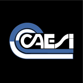 Caesi (Camara Arg. de Empresas de Seguridad e Investigacion)